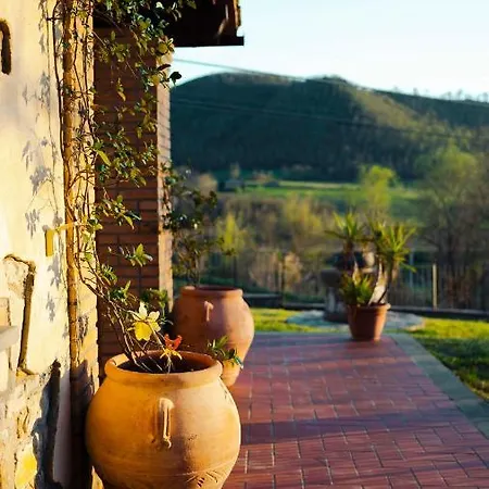 Il Colombaio Фермерский дом