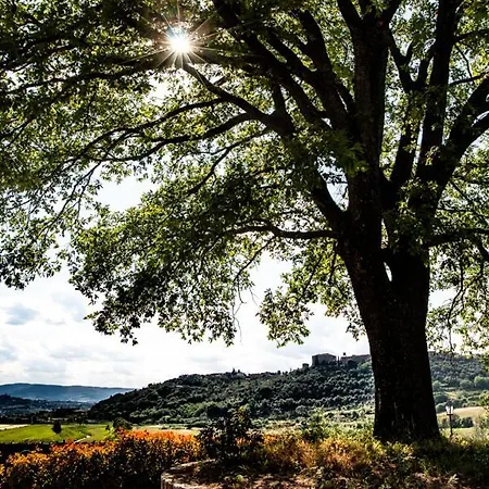 Farm stay Il Colombaio Montegabbione