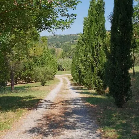 Farma Il Colombaio Montegabbione